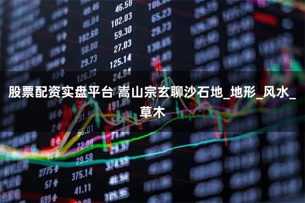 股票配资实盘平台 嵩山宗玄聊沙石地_地形_风水_草木